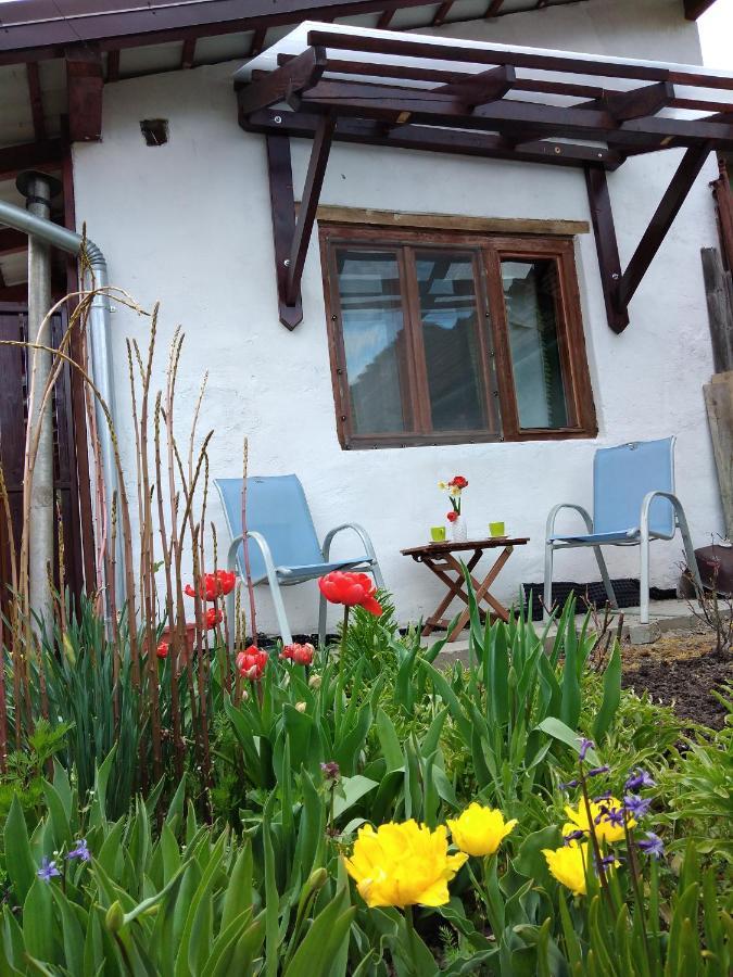 Grandpa'S Room Sighisoara Exterior photo